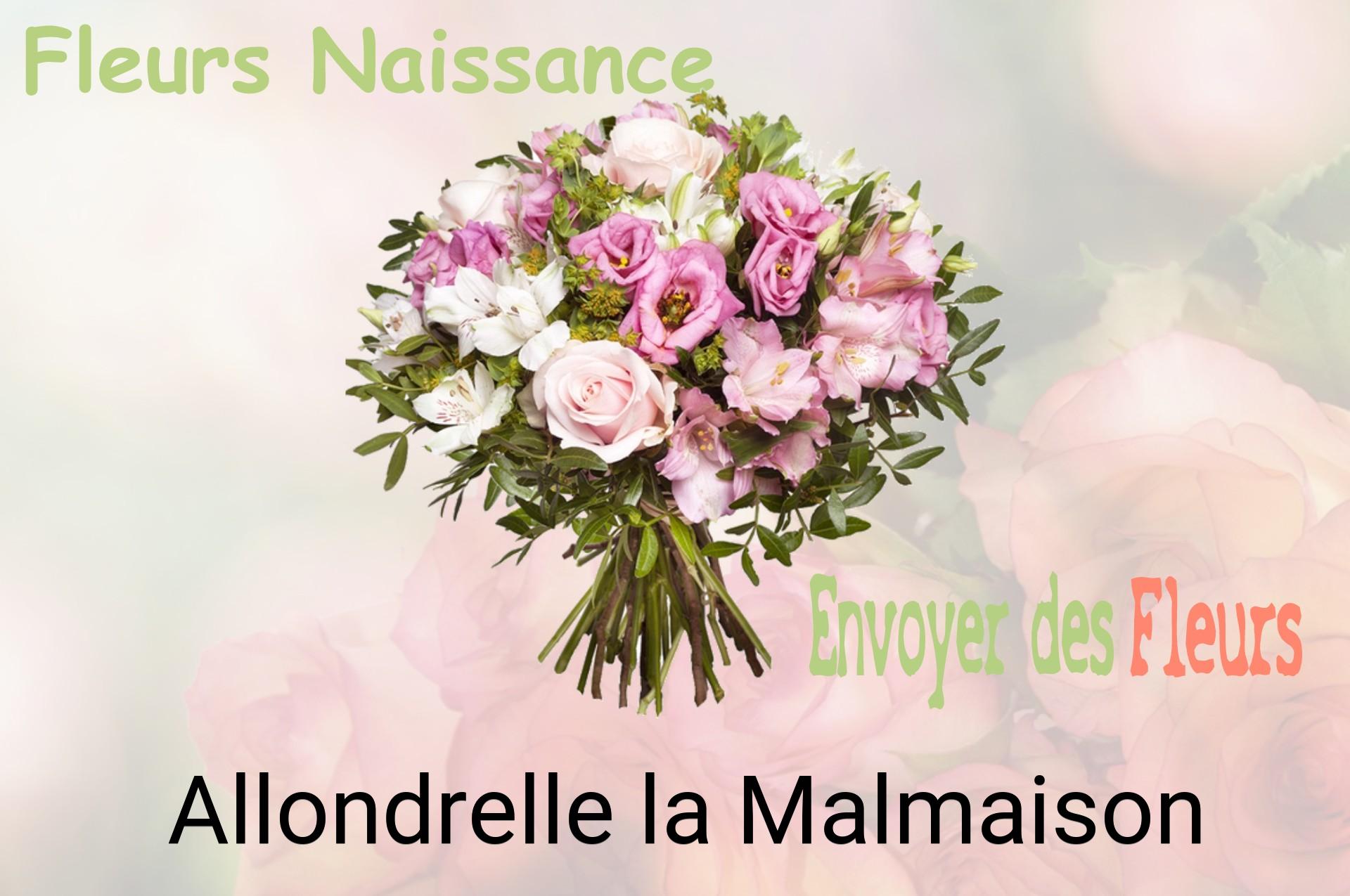 Bouquet de fleurs de naissance livré à Allondrelle-la-Malmaison